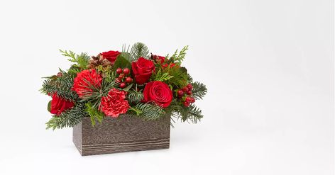 Holiday Box