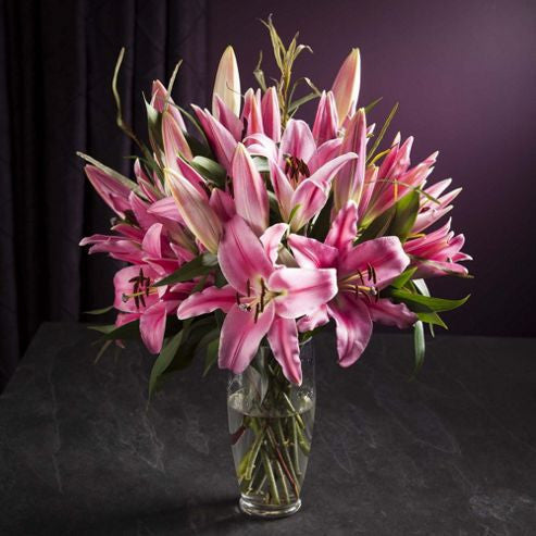 oriental lily flower Pink Oriental Lily Arrangement – RILEY'S FLOWERS