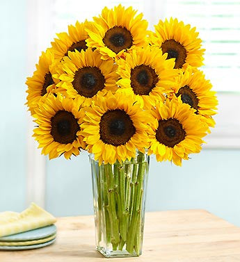 Sunflowers