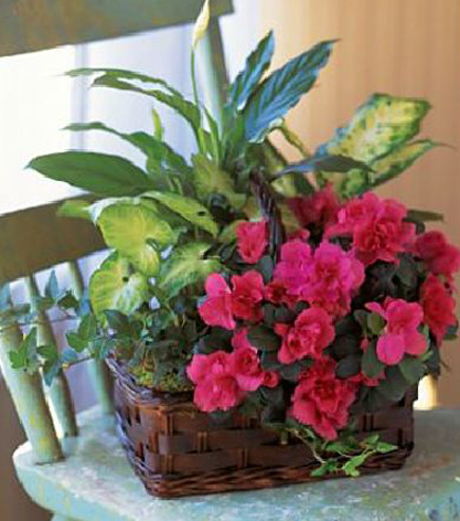 European Garden Basket