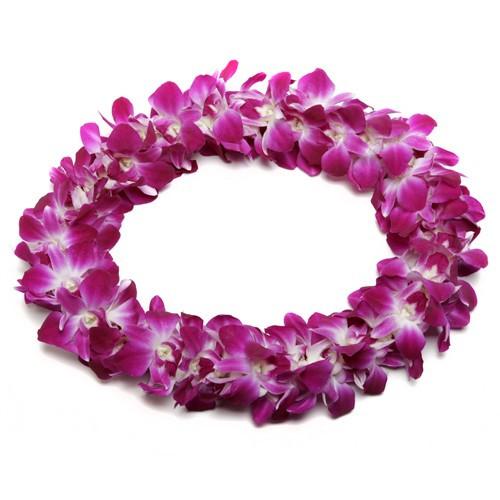 Double Hawaiian Leis